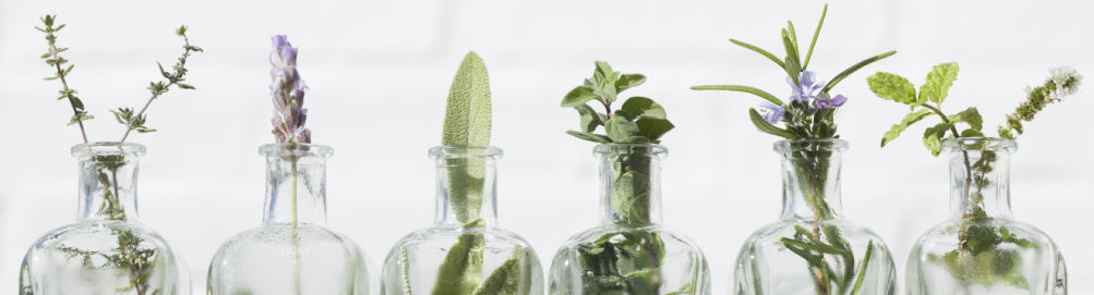 An Expert Look at Selecting Herbal Cosmetics